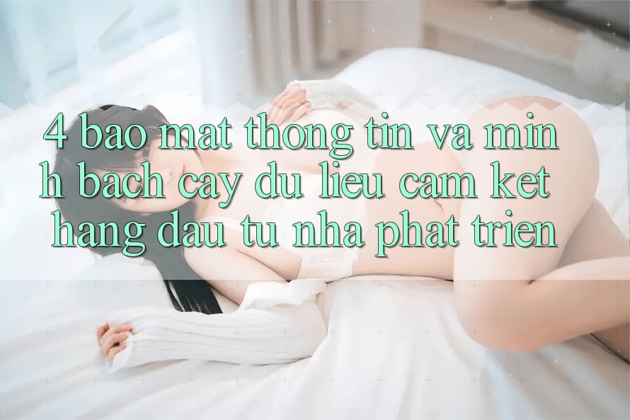 4. Bảo mật thông tin và minh bạch cậy dữ liệu: Cam kết hàng đầu từ nhà phát triển