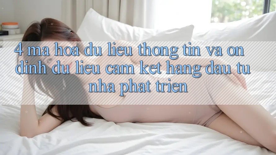 4. Mã hóa dữ liệu thông tin và ổn định dữ liệu: Cam kết hàng đầu từ nhà phát triển