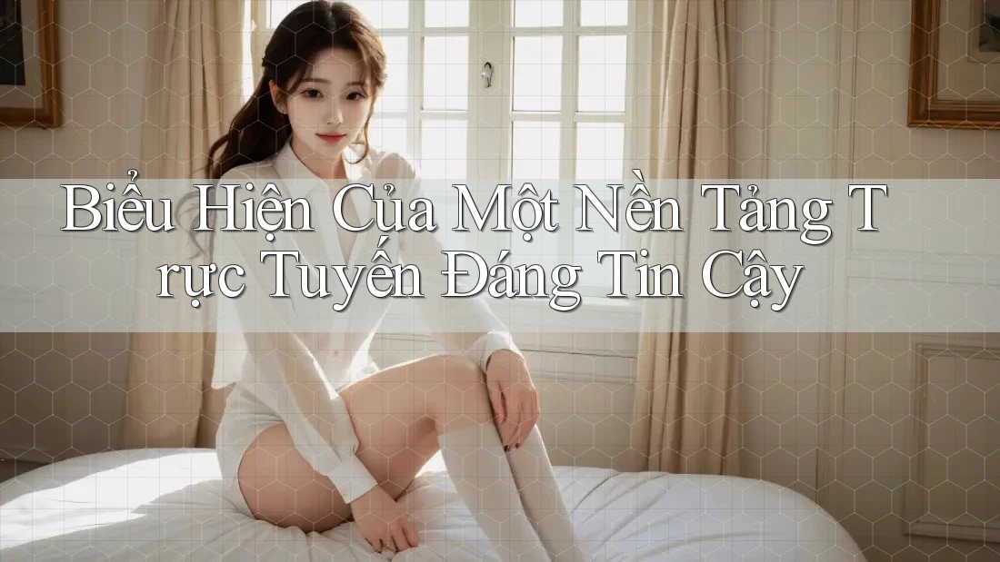 Biểu Hiện Của Một Nền Tảng Trực Tuyến Đáng Tin Cậy