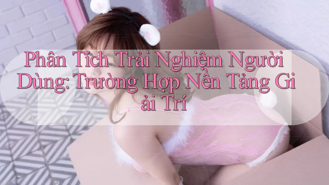 Phân Tích Trải Nghiệm Người Dùng: Trường Hợp Nền Tảng Giải Trí Phân Tích Trải Nghiệm Người Dùng: Trường Hợp Nền Tảng Giải Trí