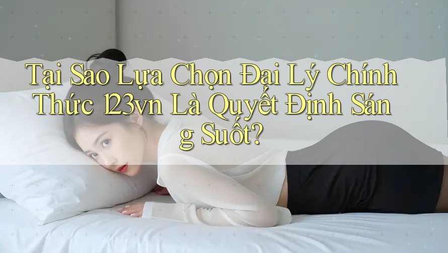 Tại Sao Lựa Chọn Đại Lý Chính Thức 123vn Là Quyết Định Sáng Suốt?